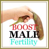 Foods That Boost Male Fertility on 9Apps