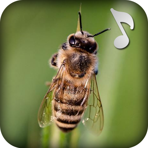 Fly Sound Prank icon