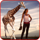 Wildlife Photography Editor icon