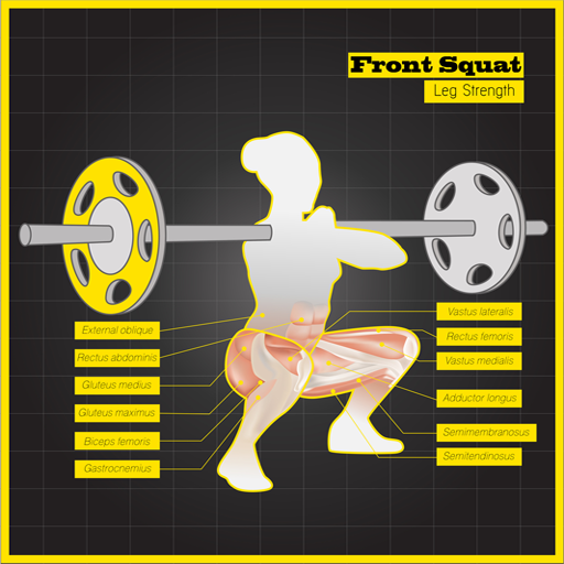 Muscle Workout Exercises icon