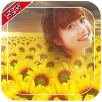 Sunflower Photo Frames on 9Apps