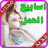 حاسبة الحمل - متابعة الحمل 👶🏻‎  بدون نت 2020