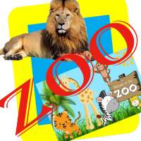 ZOO ANIMALS LIVE VIDEOS on 9Apps