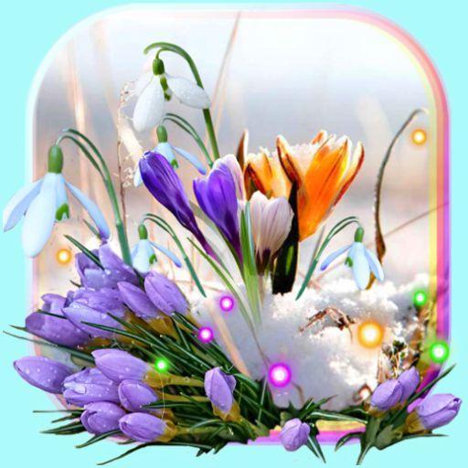 Spring Early Flowers live wallpapar icon