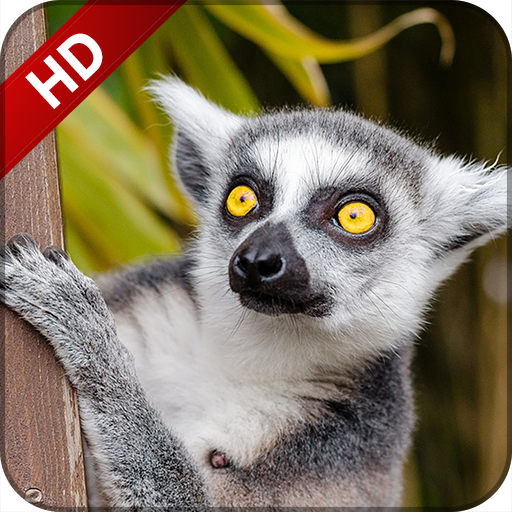 Animal sounds for kids DELUXE icon