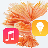 Theme for Iphone 7 icon