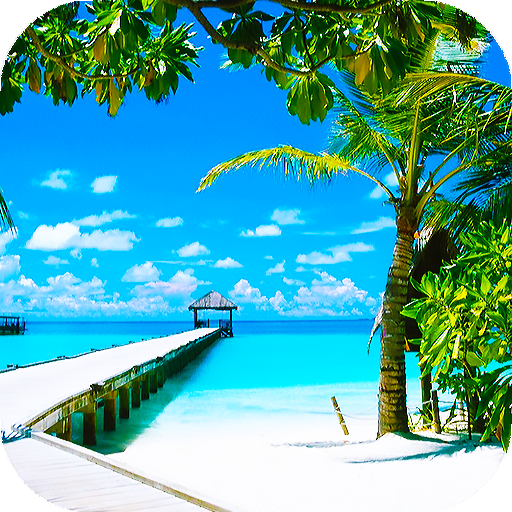 Summer Wallpapers : backgrounds hd icon