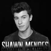Shawn Mendes-Free MP3 ( Song Offline) on 9Apps