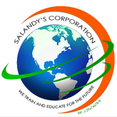 Salandys Corporation icon