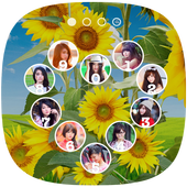 Sunflowers Lock Screen icon