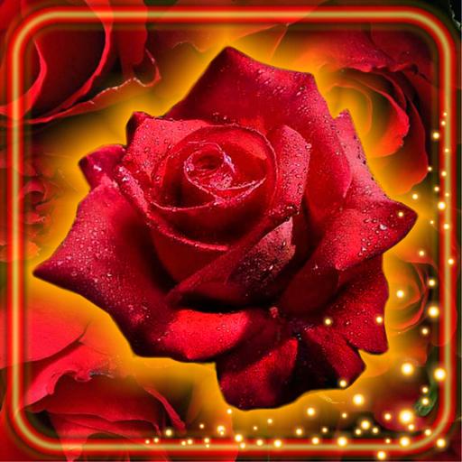 Roses Red Best Live Wallpaper icon