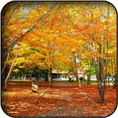 Foliage wallpapers icon