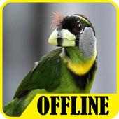 Suara Burung Takur on 9Apps