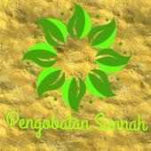 Pengobatan Sunnah