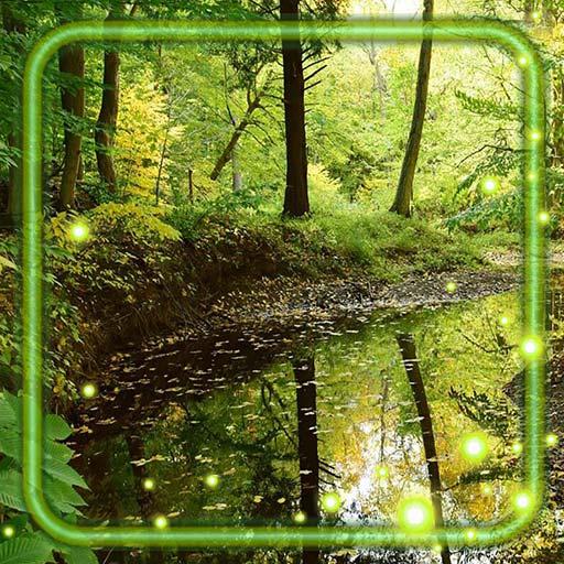 Forest Sounds Live Wallpaper icon