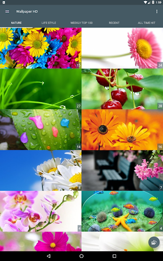 Wallpaper HD Background screenshot 7