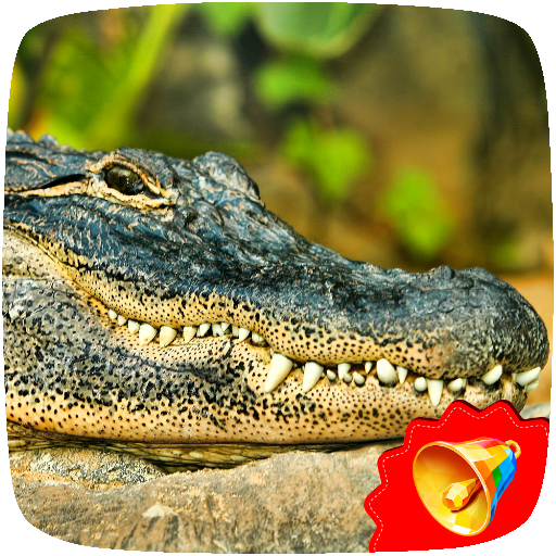 Alligator Sounds icon