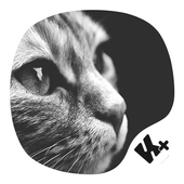 Cat Keyboard icon