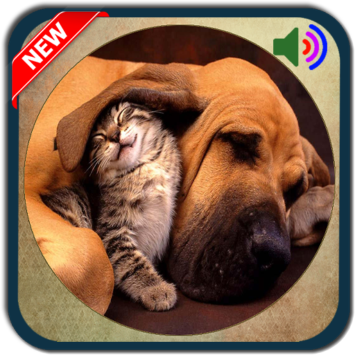 Cat &amp; Dog Sound Ringtones icon