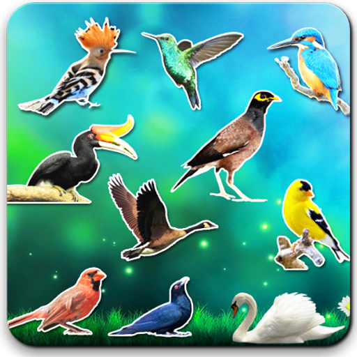 Bird sounds icon