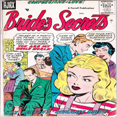 Bride Secrets Ecomic Book icon