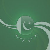 Pakistani Tv icon