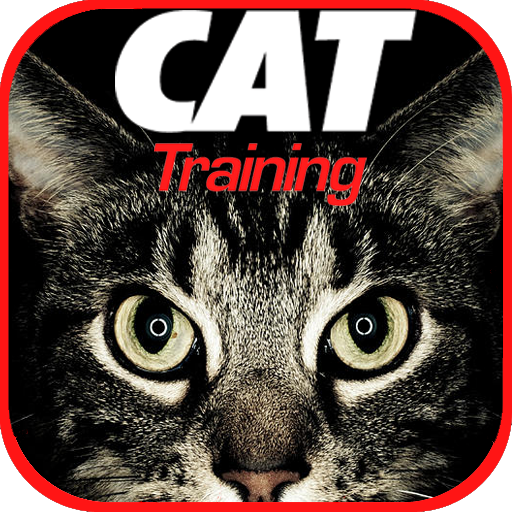 Cat Training icon