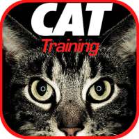 Cat Training