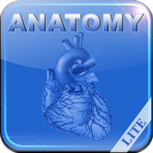 Human Anatomy II Lite icon