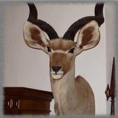 Hunting Trophies Wallpaper icon