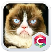 Grumpy Cat Theme C Launcher icon
