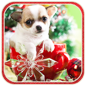 Christmas Dog live wallpaper icon