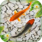 Koi Free Live Wallpaper : Fish Aquarium Wallpaper on 9Apps