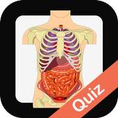 Human Biology Quiz