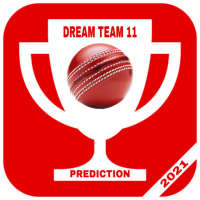 Dream Fantasy 11 App - Cricket Team Prediction Tip