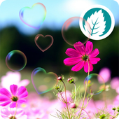 Flower Live Wallpaper icon