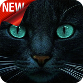 Find a Cat - Attention Training Game icon