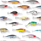 Всё для рыбалки иконка