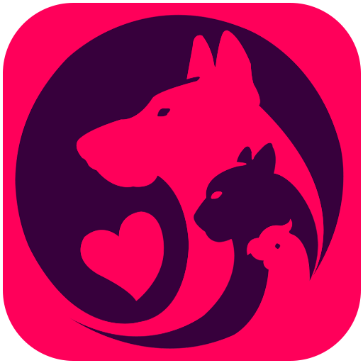 ikon Pater - Mobil Pet Çöpçatanlık Uygulaması