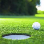 mini golf yang mini icon