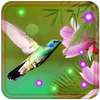 Colibri Flowers live wallpaper