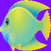 Fish Racing Games icon