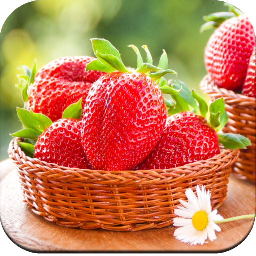 Strawberry wallpaper HD icon