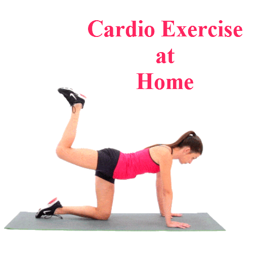 Hiit and Daily Cardio Fitness Workouts icon