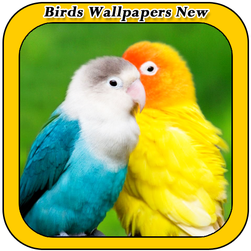 Birds Wallpapers New icon