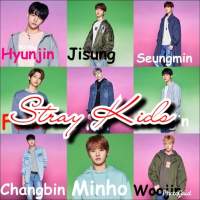 Stray Kids Music & wallpaper
