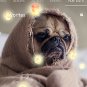My photo Lantern music player icon