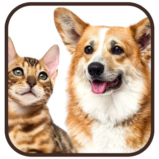Wallpaper Cat and Dog icon
