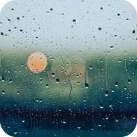 Rain Wallpaper on 9Apps