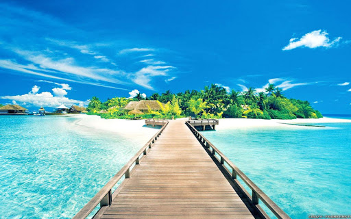 Summer Wallpaper screenshot 5